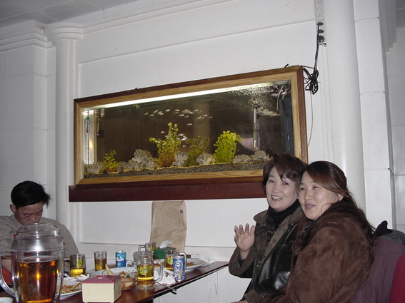 dsc00037.jpg