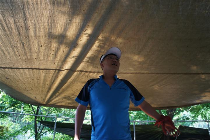 DSC02032 (Small).JPG