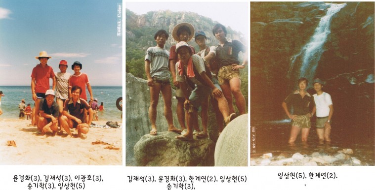 그래픽3.jpg